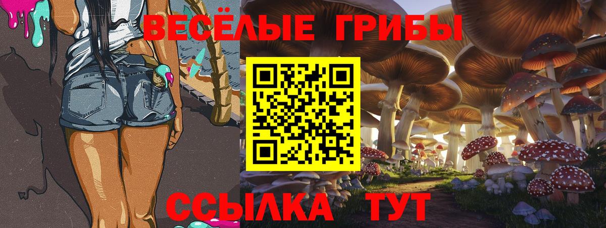 Псилоцибиновые грибы мицелий Тольятти